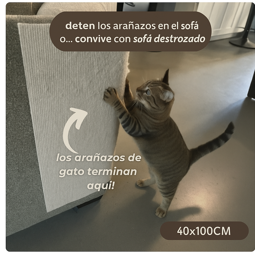 Protector Antigarras – OH-MYCAT™